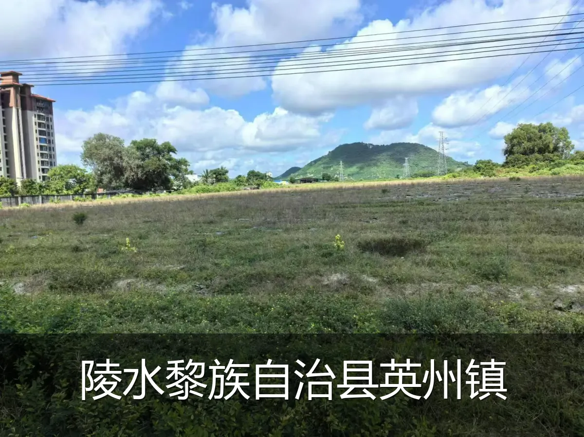 陵水黎族自治县英州镇